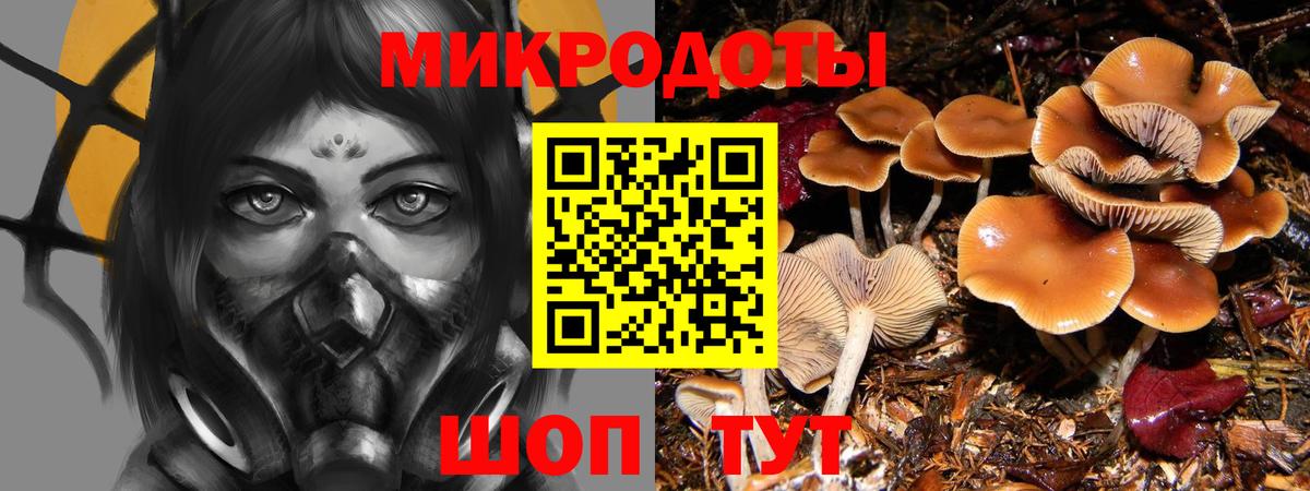 Псилоцибиновые грибы Psilocybe  Галлюциногенные грибы Psilocybine cubensis  Новокуйбышевск  закладки  Вход с VPN 